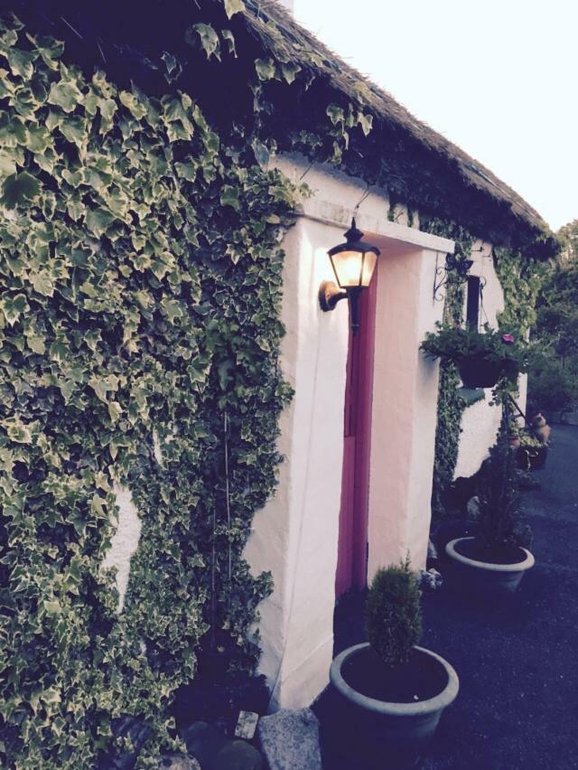 Teresas Cottage Donegal Town Kültér fotó