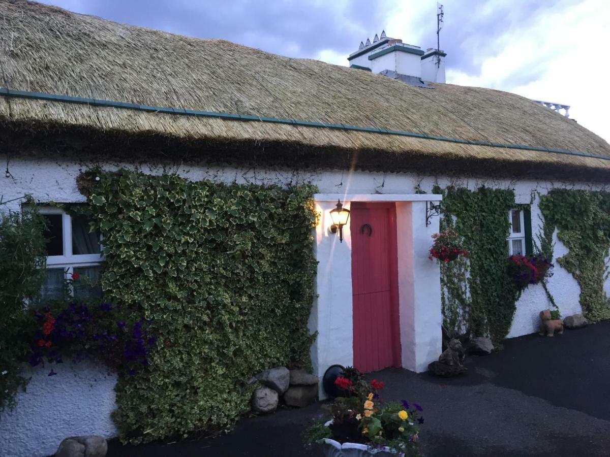 Teresas Cottage Donegal Town Kültér fotó